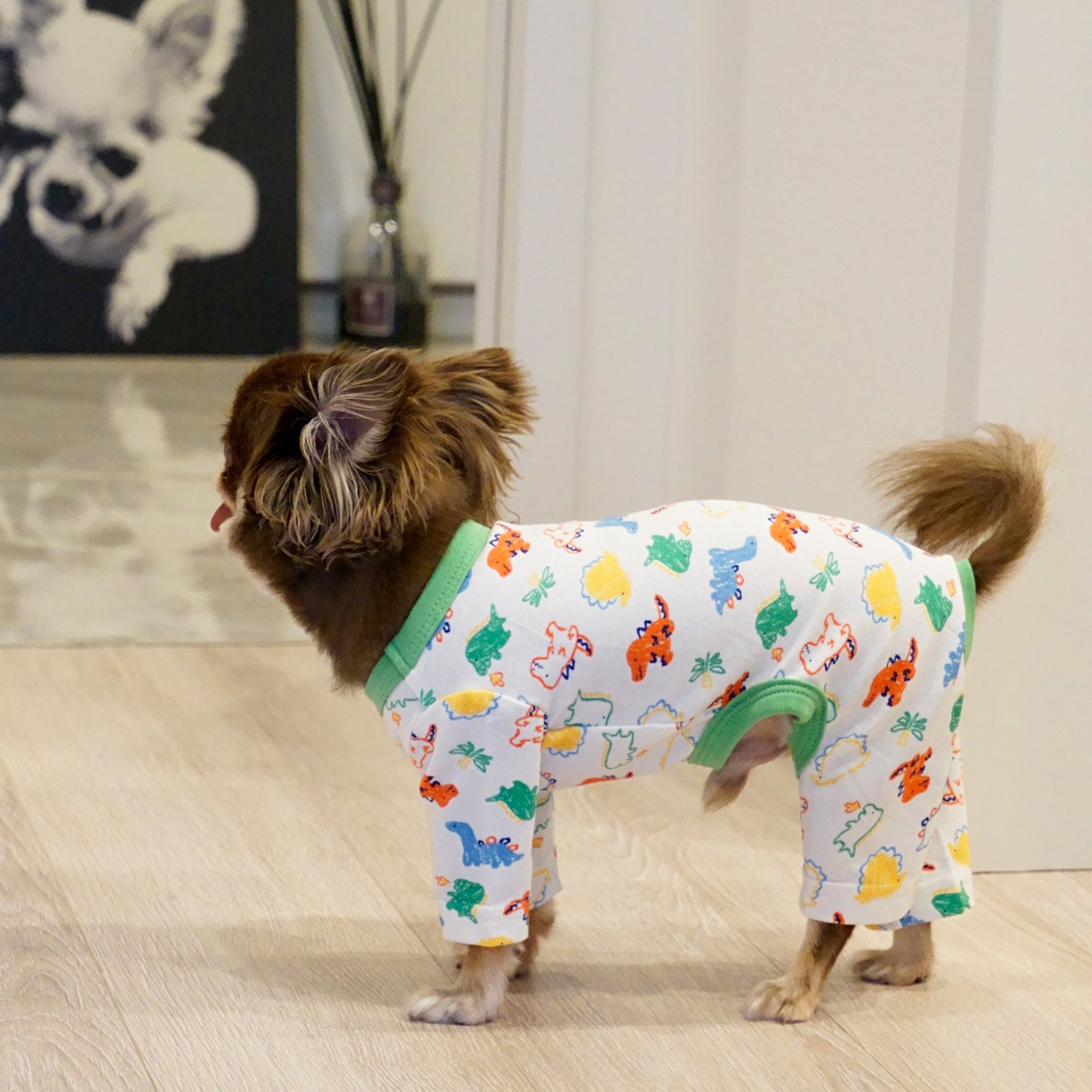 《WINTER SALE -30%》Cotton Rompers (dinosaur)
