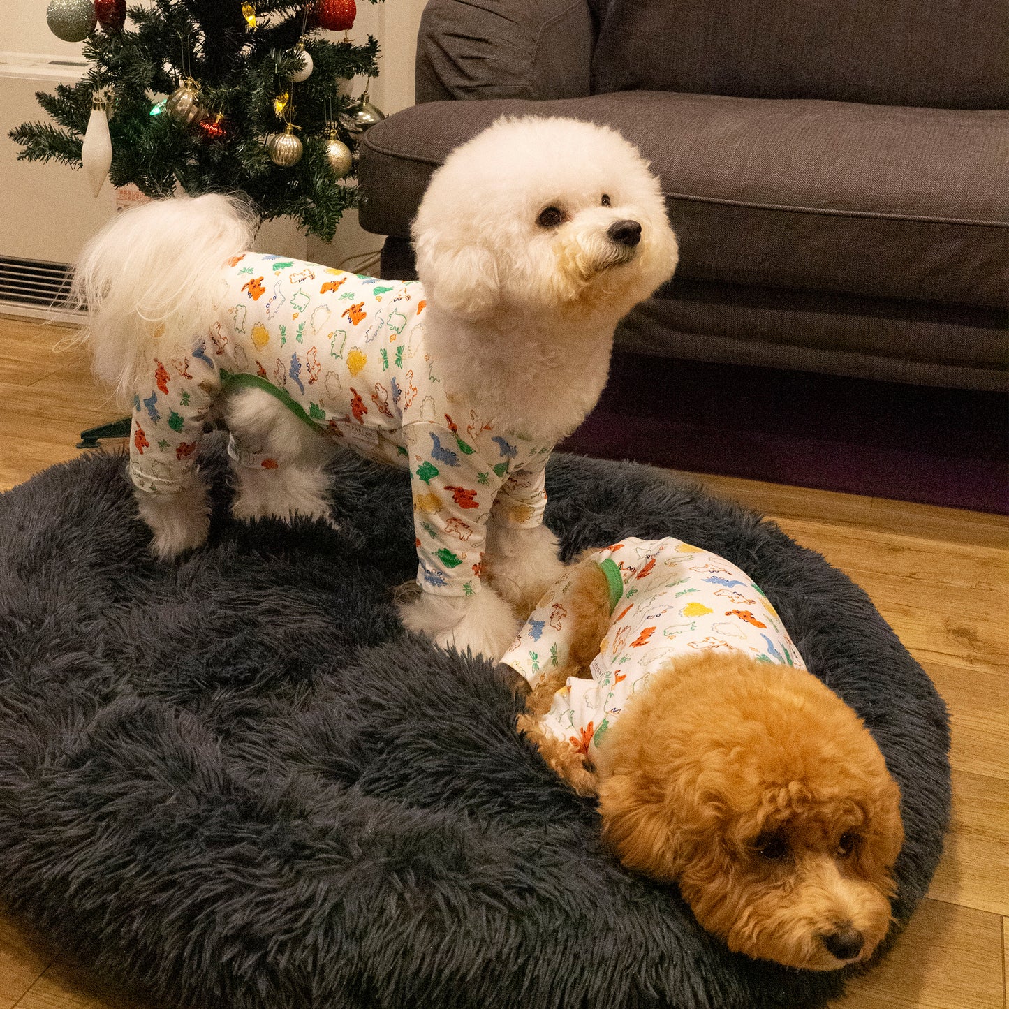 《WINTER SALE -30%》Cotton Rompers (dinosaur)