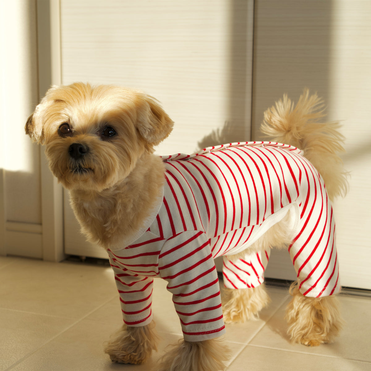 【35%OFF】Cotton Rompers (stripe) -White