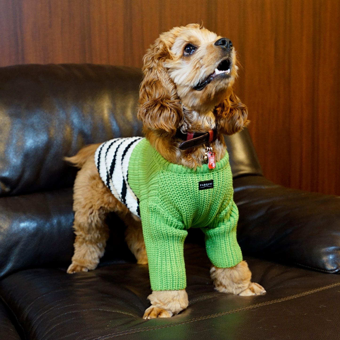 Crochet Knit - Green
