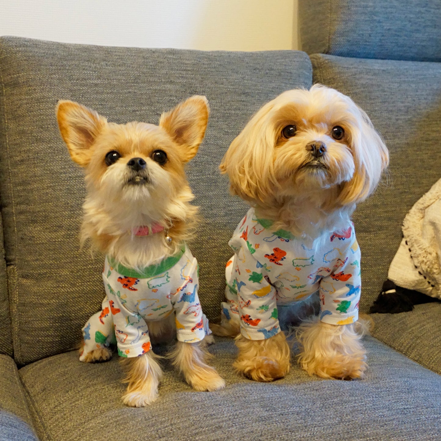 《WINTER SALE -30%》Cotton Rompers (dinosaur)