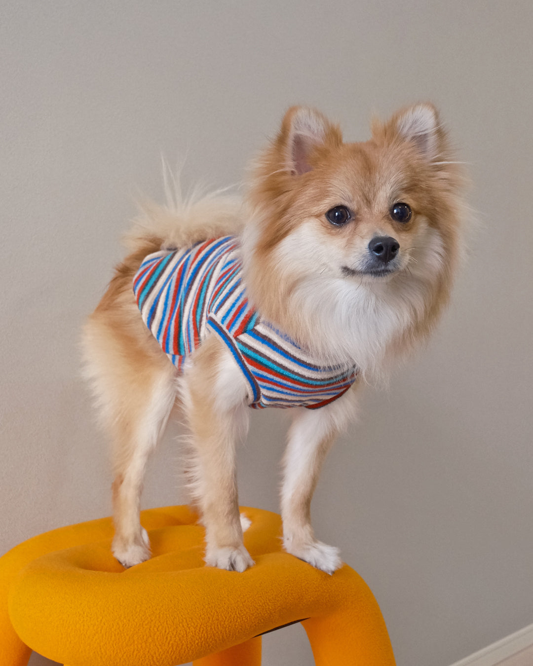 【5%OFF】Stripe Pile Top