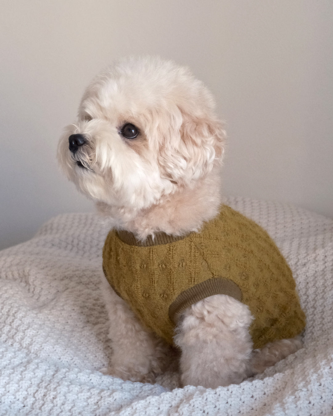 Petit Heart Knit