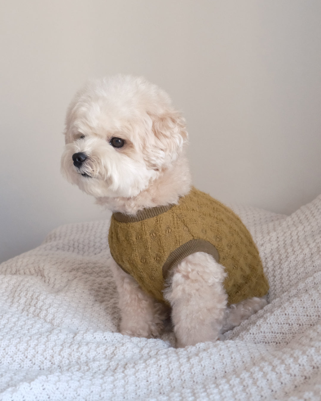 Petit Heart Knit