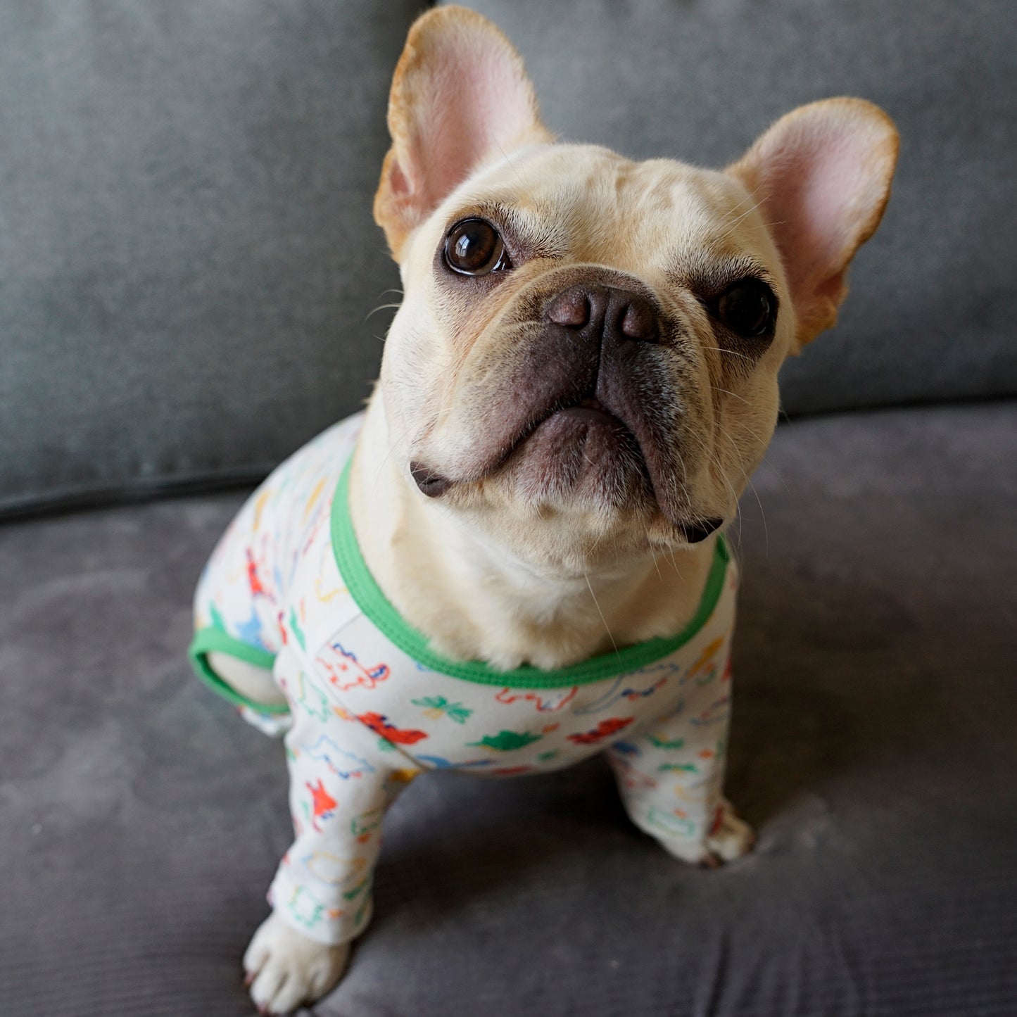 《WINTER SALE -30%》Cotton Rompers (dinosaur)