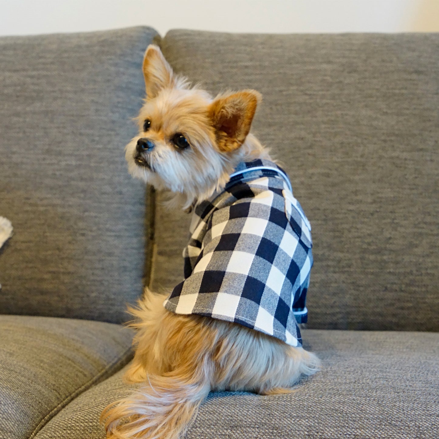 PAJAMA (check) - Navy