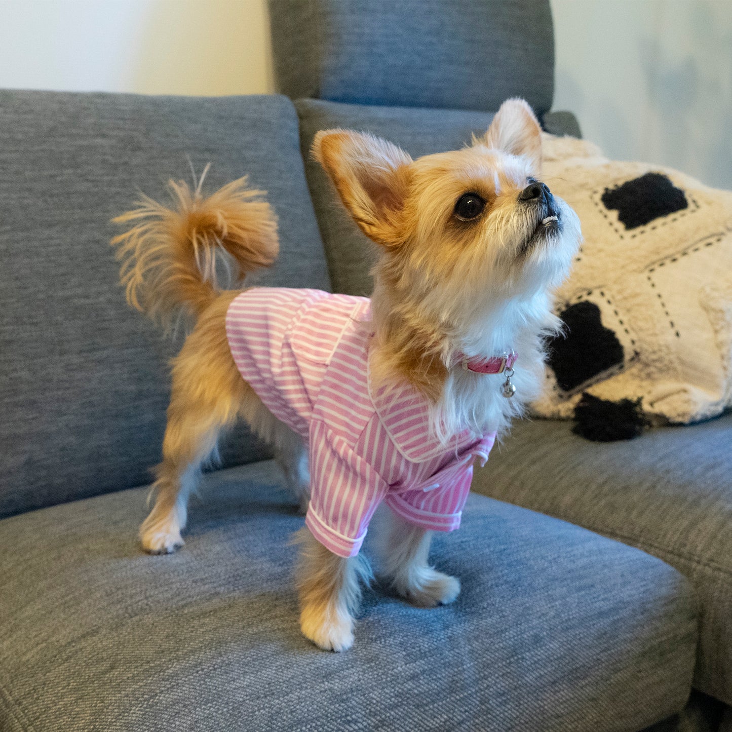 PAJAMA (stripe) - Pink