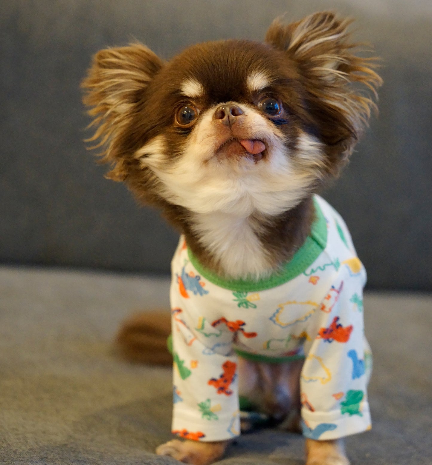 《WINTER SALE -30%》Cotton Rompers (dinosaur)