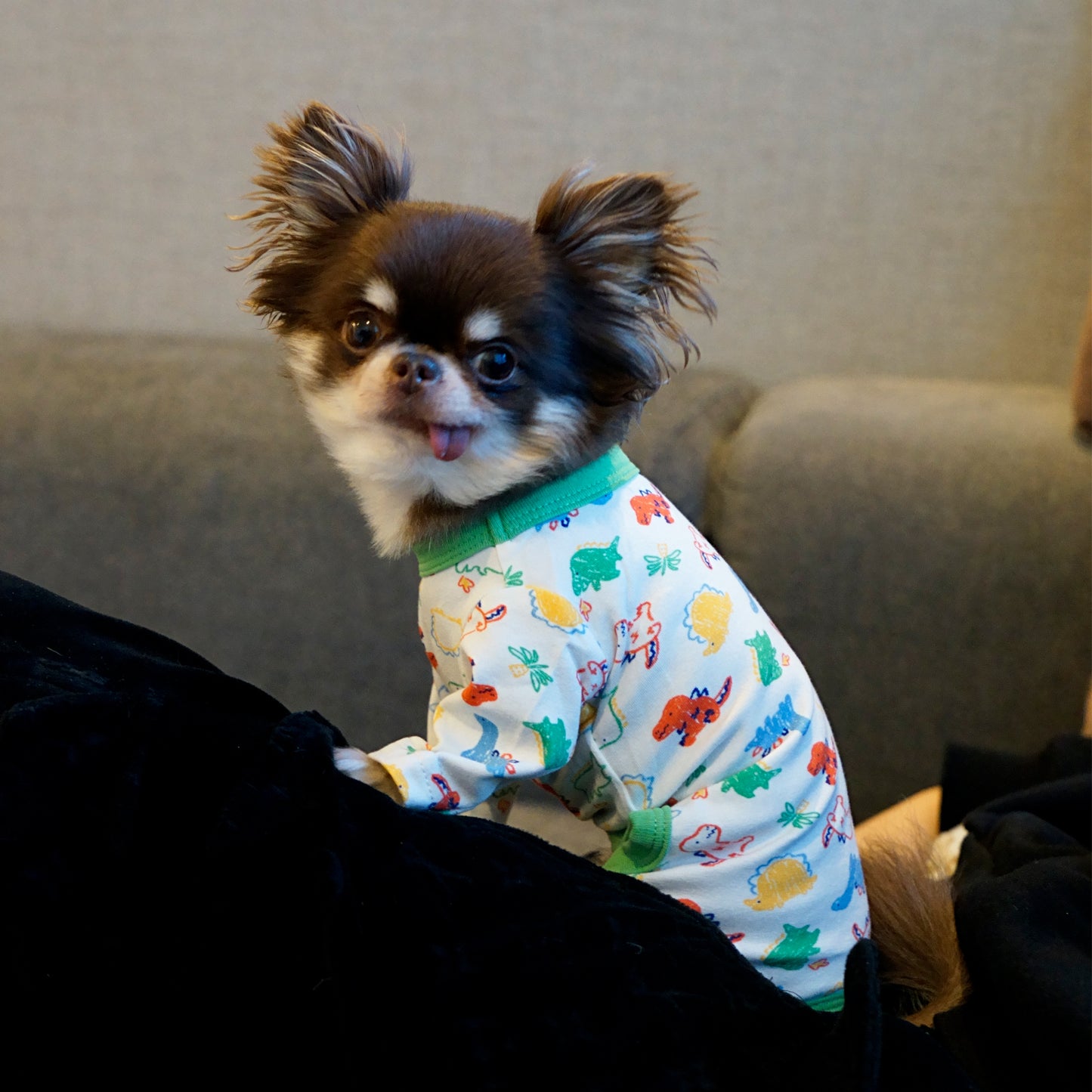 《WINTER SALE -30%》Cotton Rompers (dinosaur)