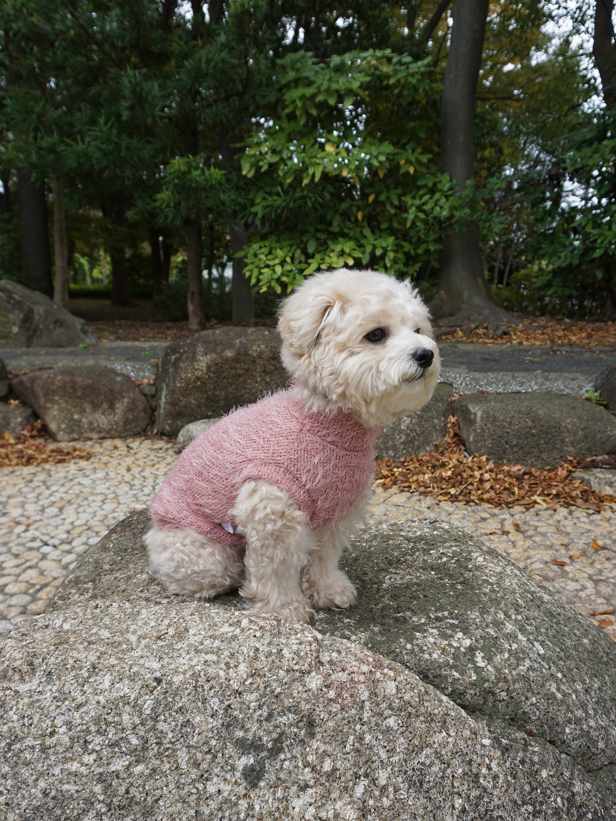 【10%OFF】Shaggy Knit - Pink