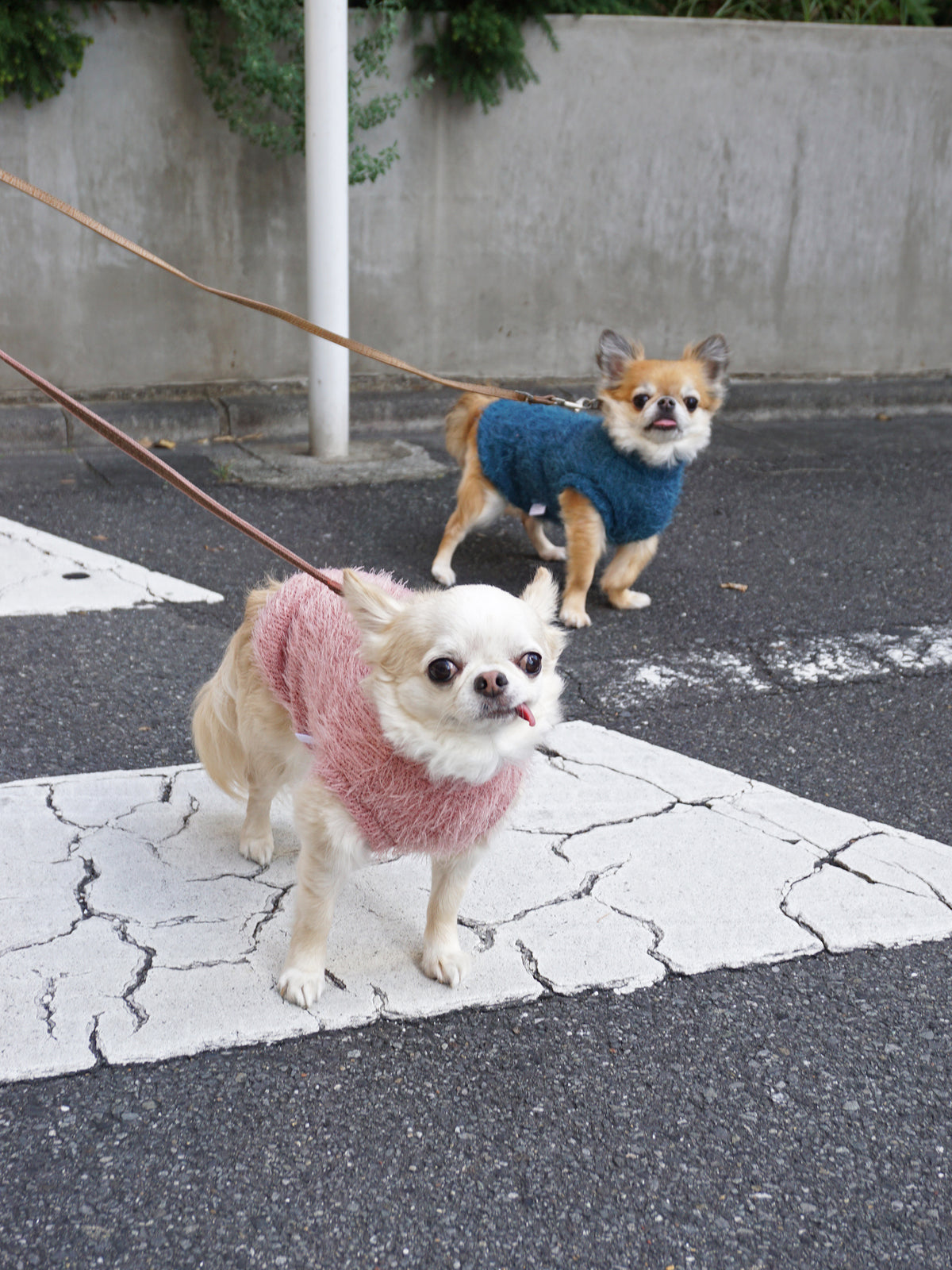 【10%OFF】Shaggy Knit - Pink