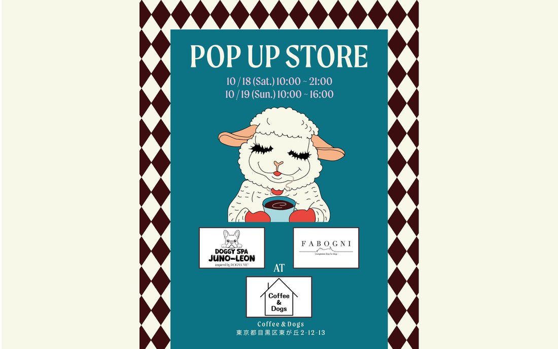 FABOGNI POP UP開催のお知らせ