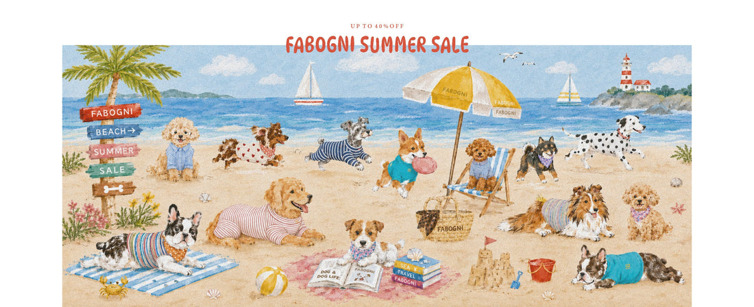 SUMMER SALE & 送料無料フェア同時開催のお知らせ