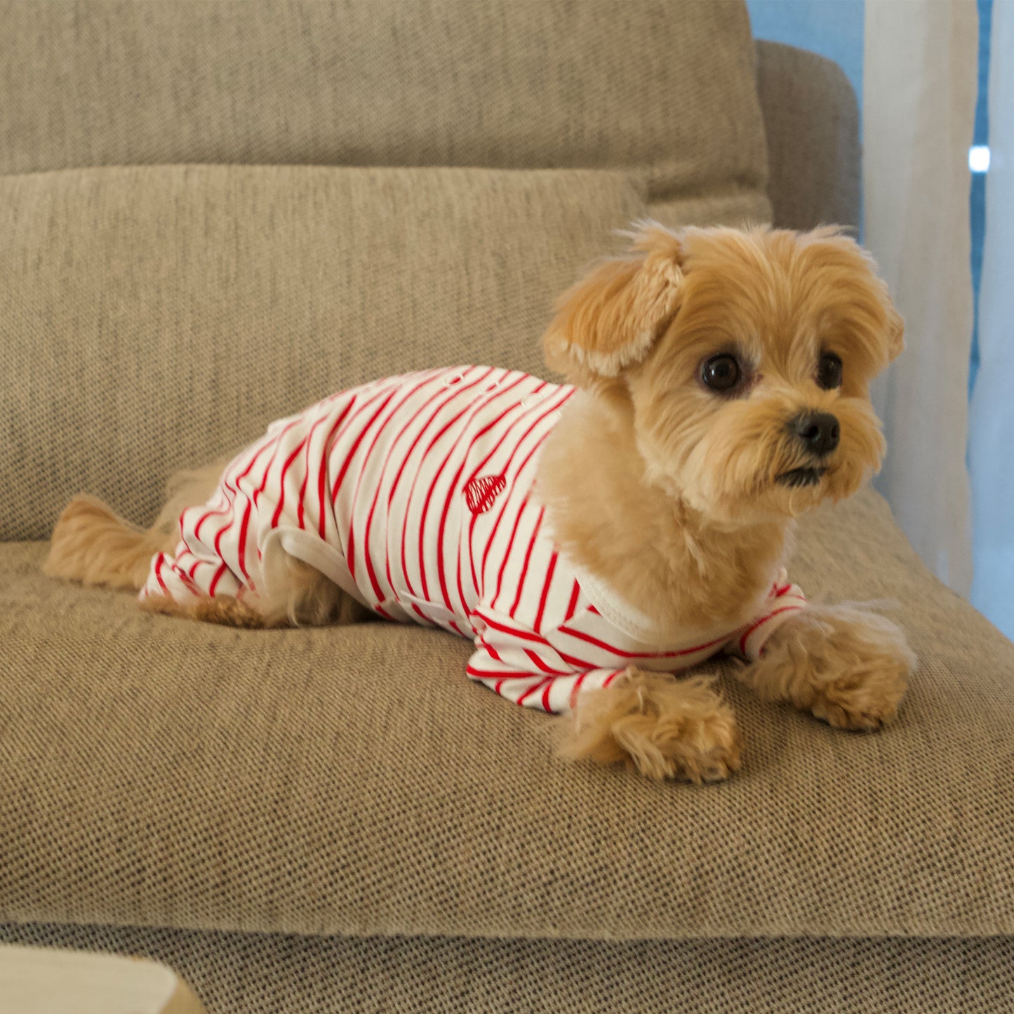 Cotton Rompers (stripe) - Red