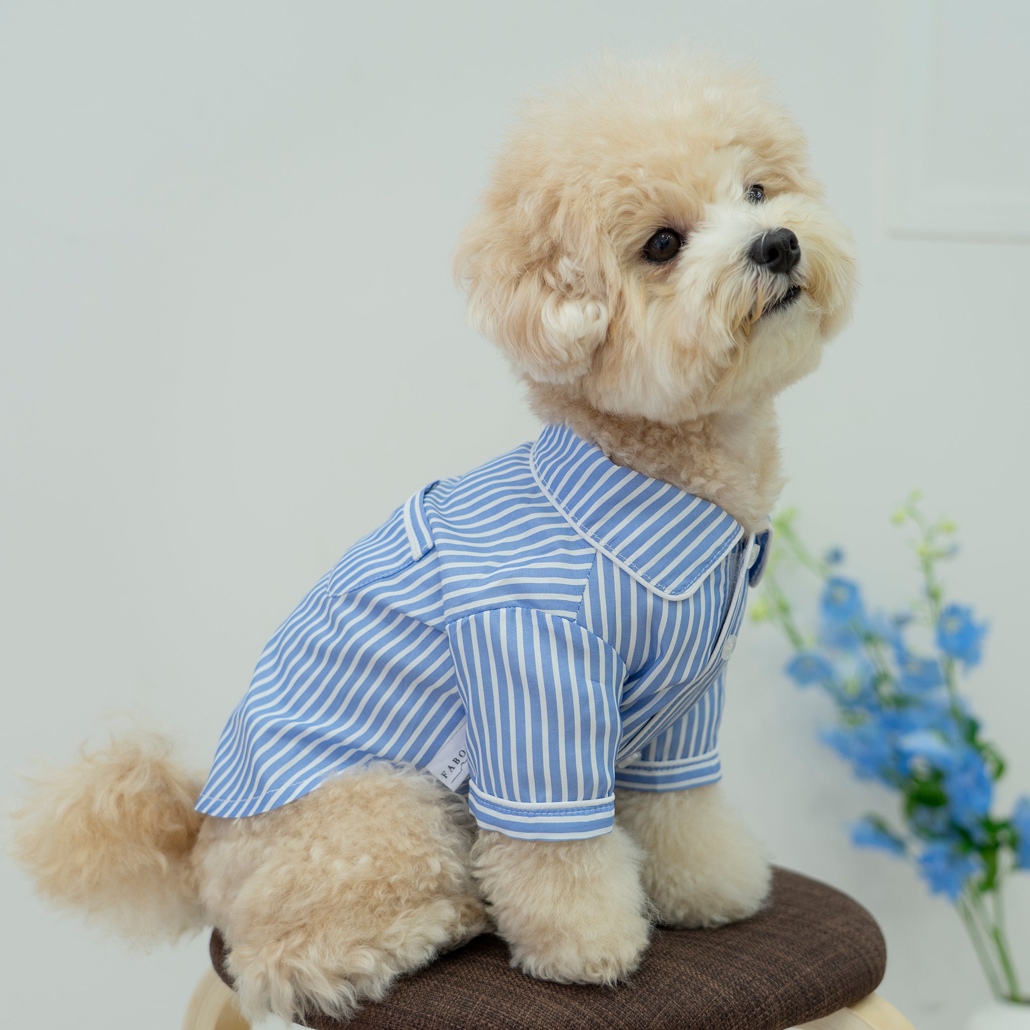 犬 ストライプパジャマシャツ【FABOGNI(ファボンニ)】Pajama (stripe