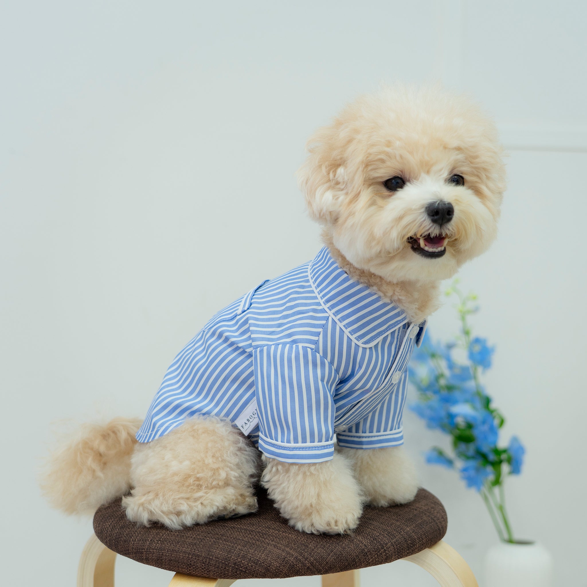 犬 ストライプパジャマシャツ【FABOGNI(ファボンニ)】Pajama (stripe