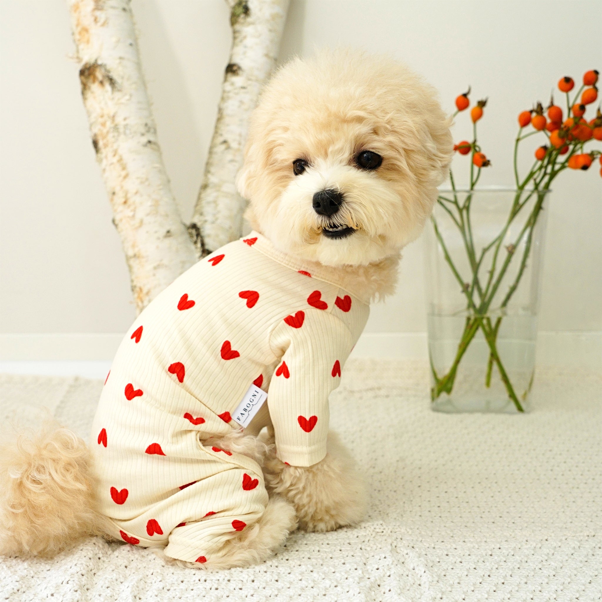 日本製 犬服ハンドメイド♡いちご柄立体バラ♡ロンパース 犬服 