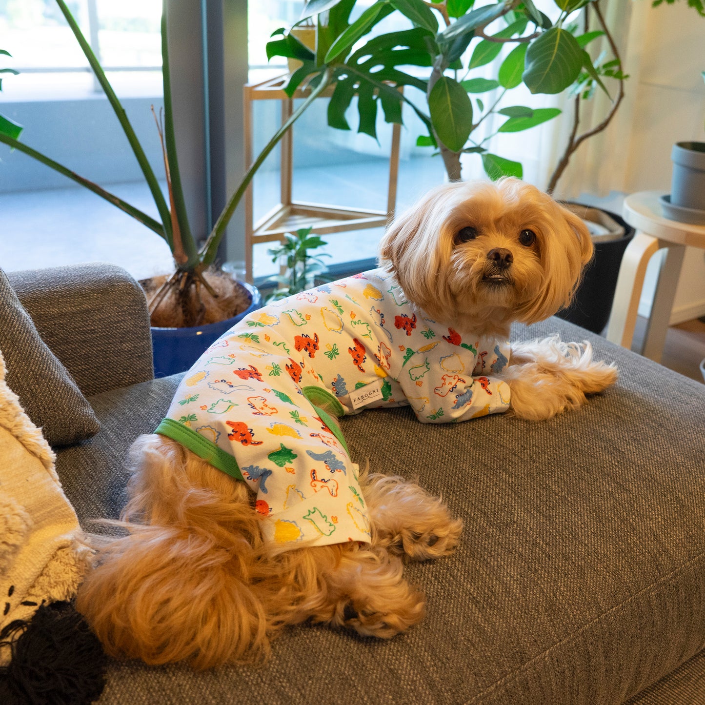 Cotton Rompers (dinosaur)