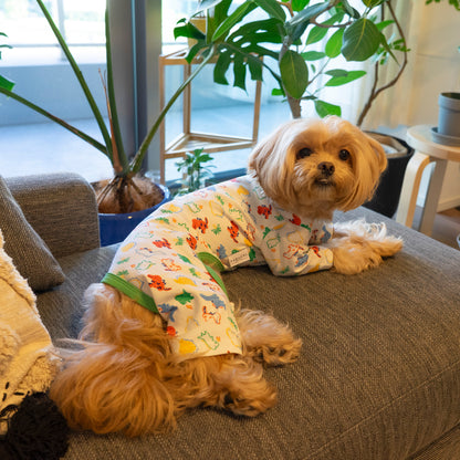 Cotton Rompers (dinosaur)