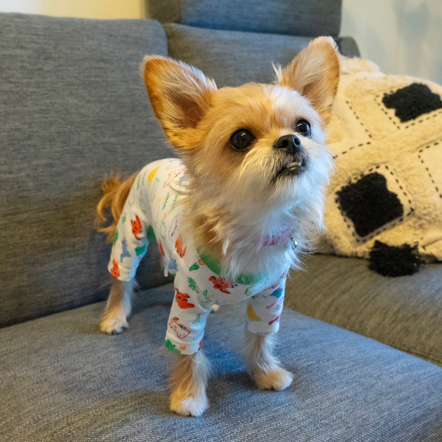 Cotton Rompers (dinosaur)