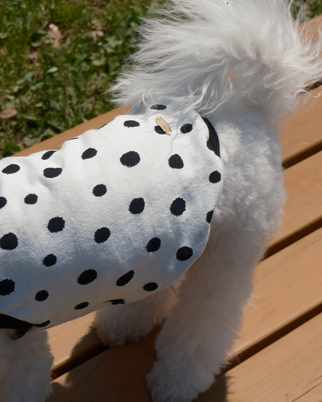 Cotton Dot Top