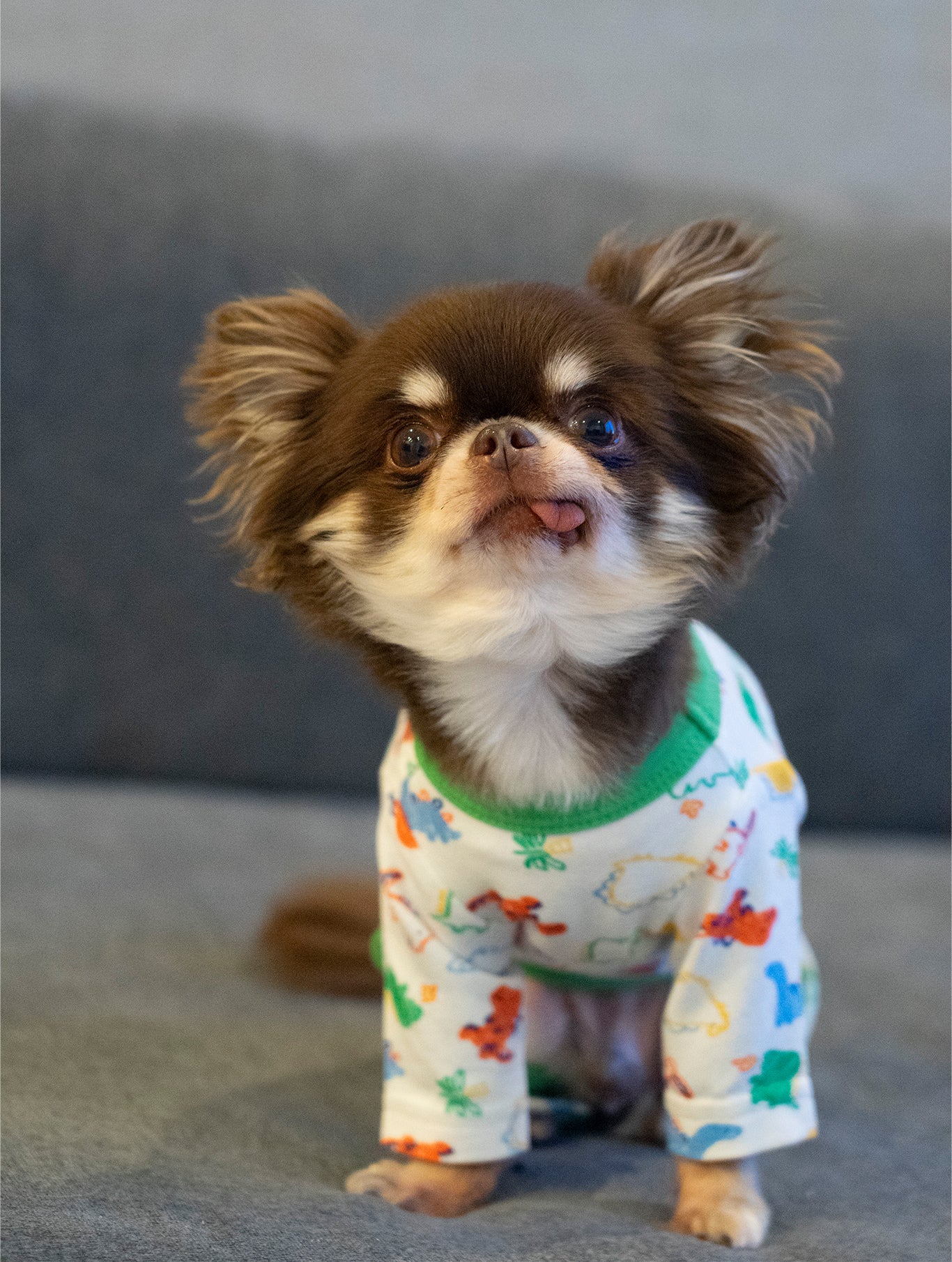 犬 恐竜柄ロンパース【FABOGNI(ファボンニ)】Cotton Rompers (dinosaur