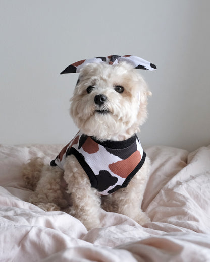 Cool Bandana (animal)