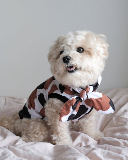 Cool Bandana (animal)