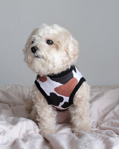 Cool Animal Top