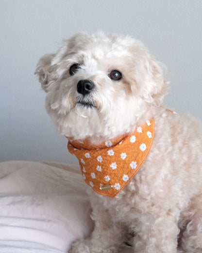 Bandana (ripple flower)