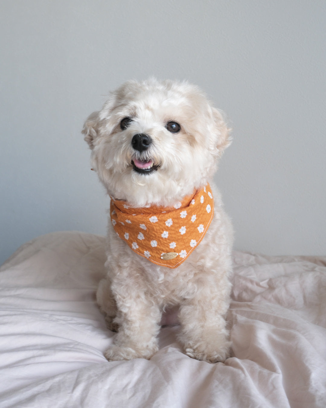 Bandana (ripple flower)