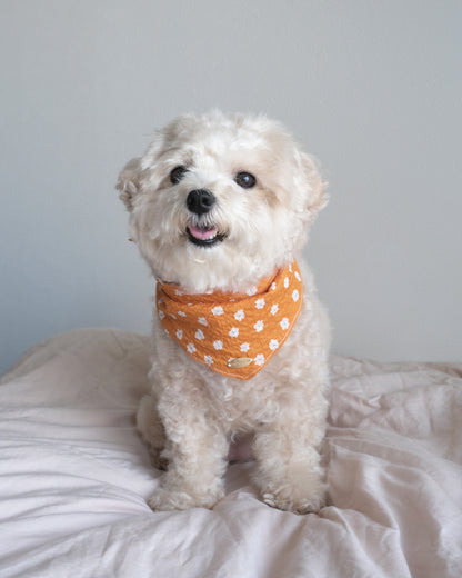 Bandana (ripple flower)