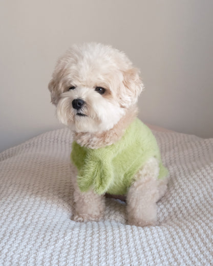 Shaggy Bow Knit