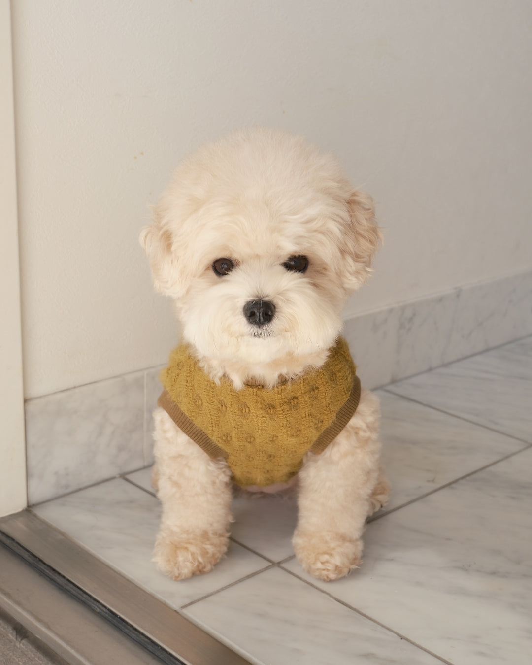 Petit Heart Knit