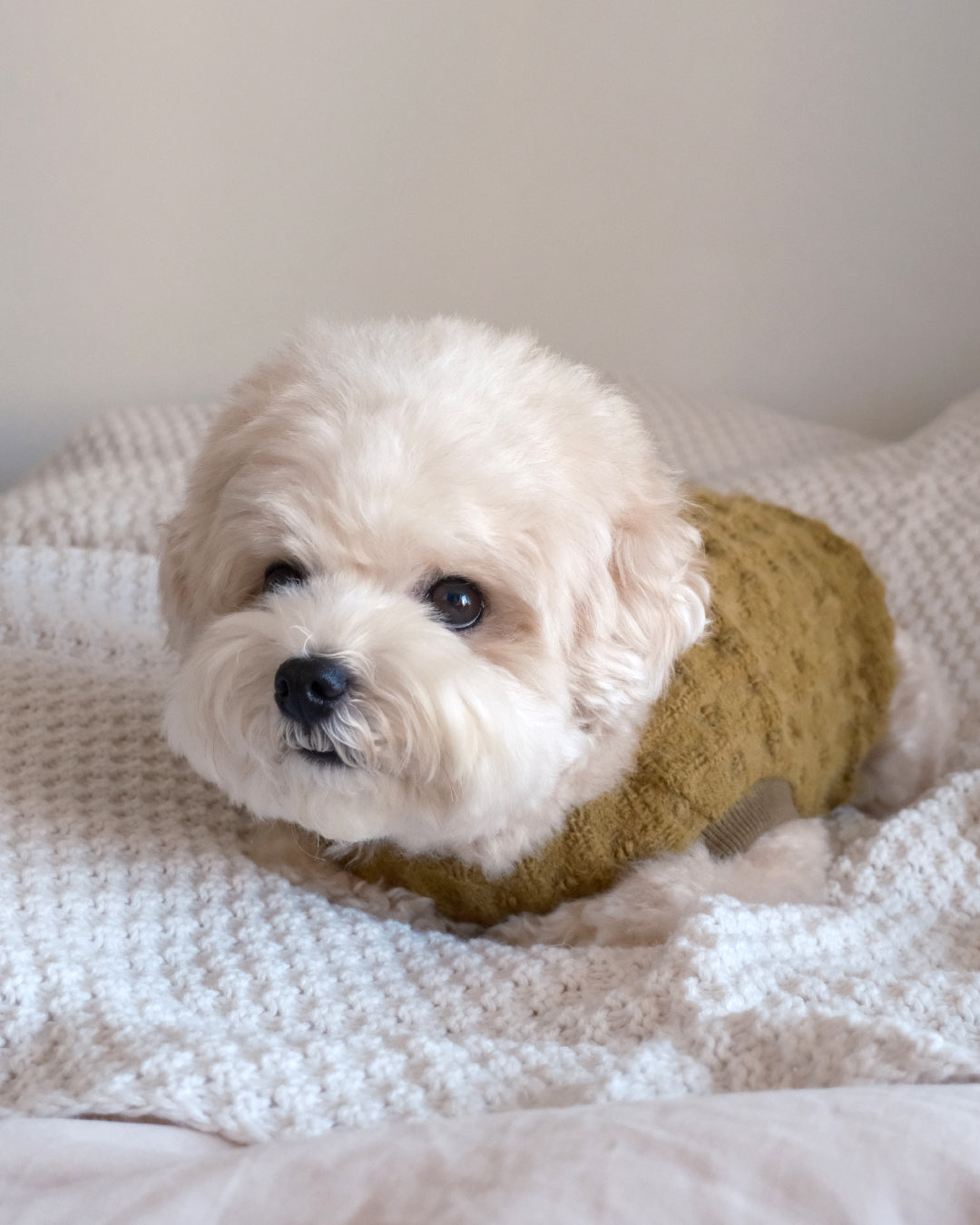Petit Heart Knit