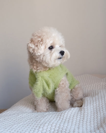 Shaggy Bow Knit