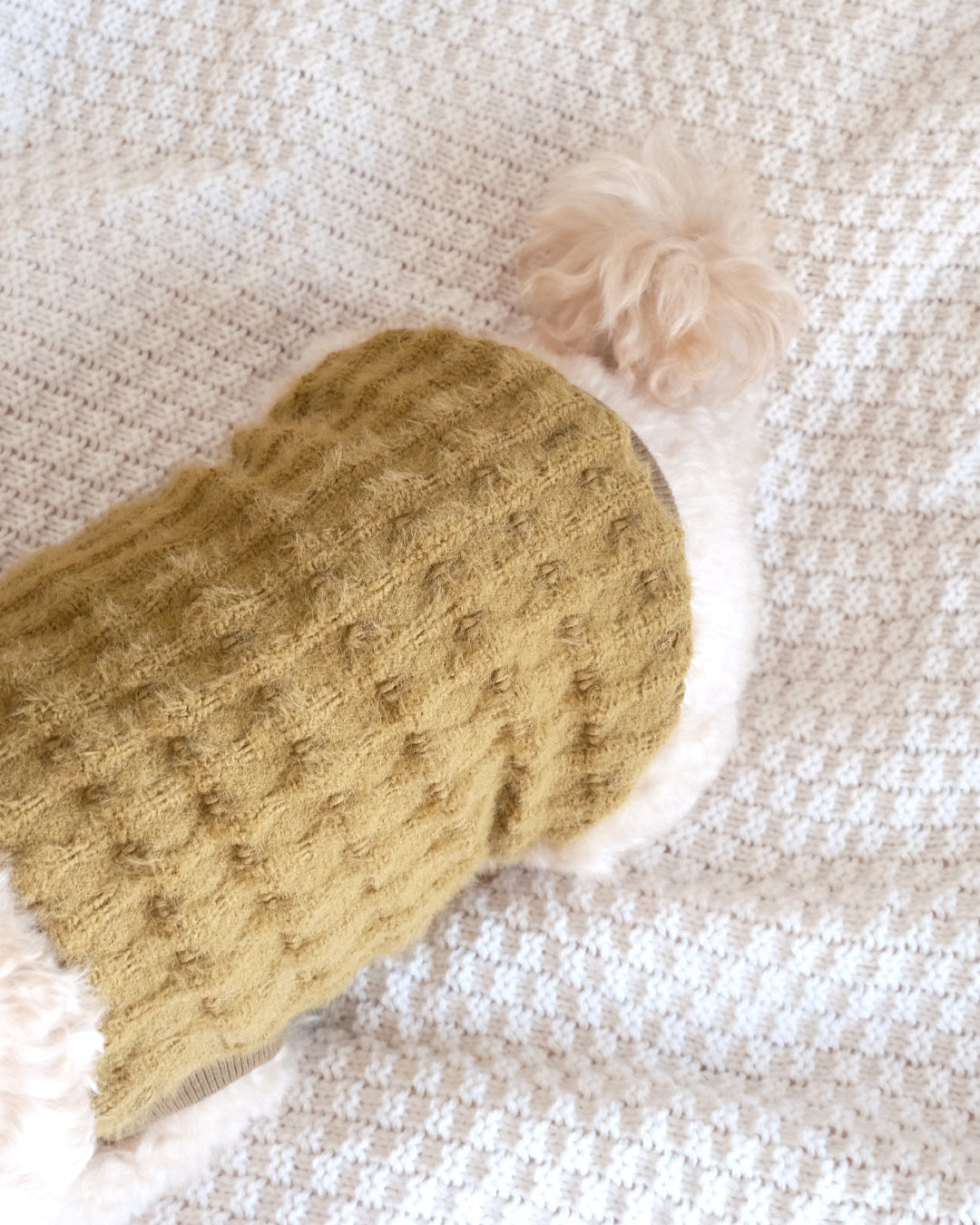 Petit Heart Knit