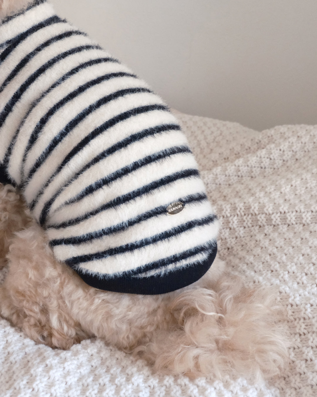 Shaggy Knit (stripe)