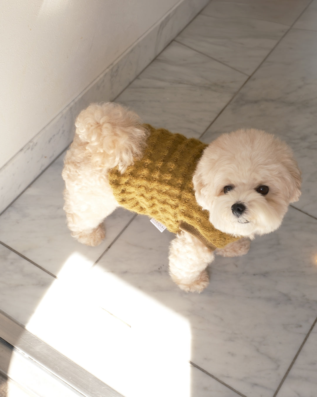 Petit Heart Knit