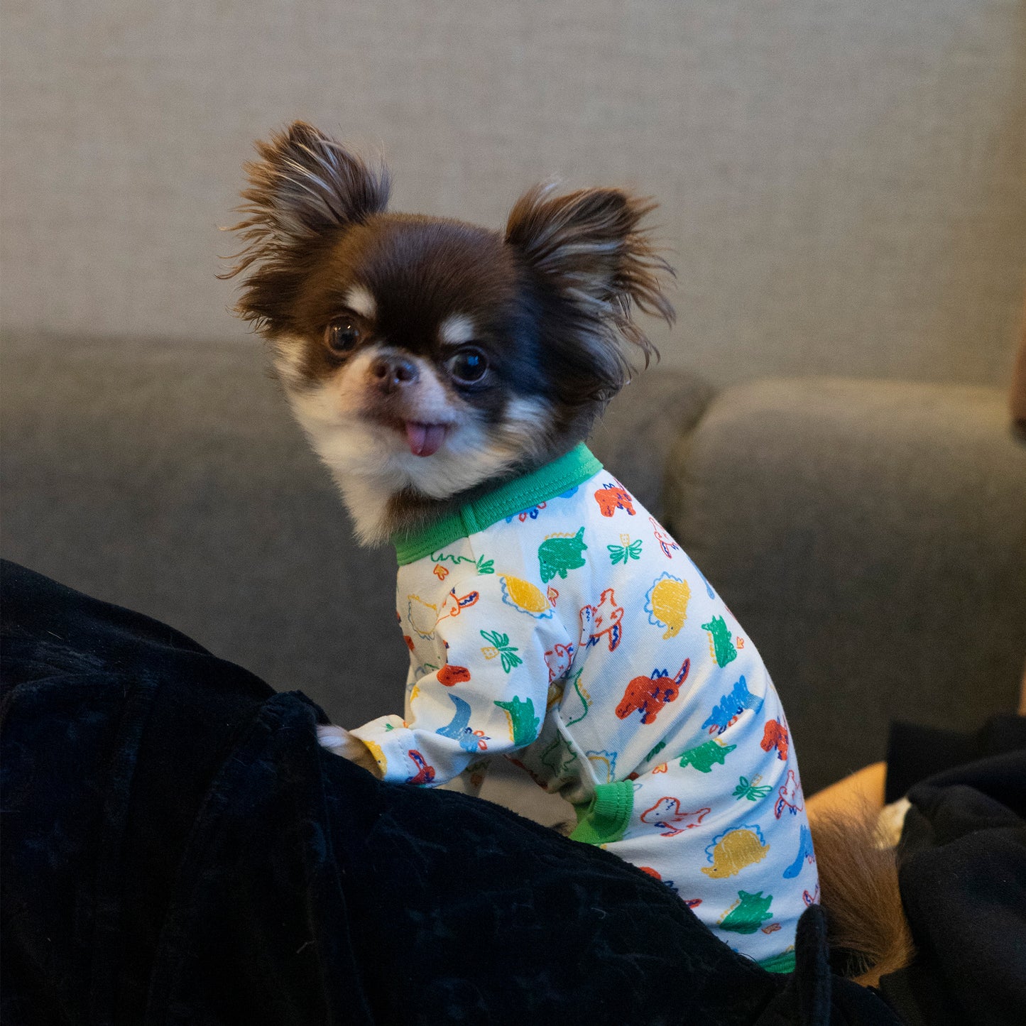 Cotton Rompers (dinosaur)