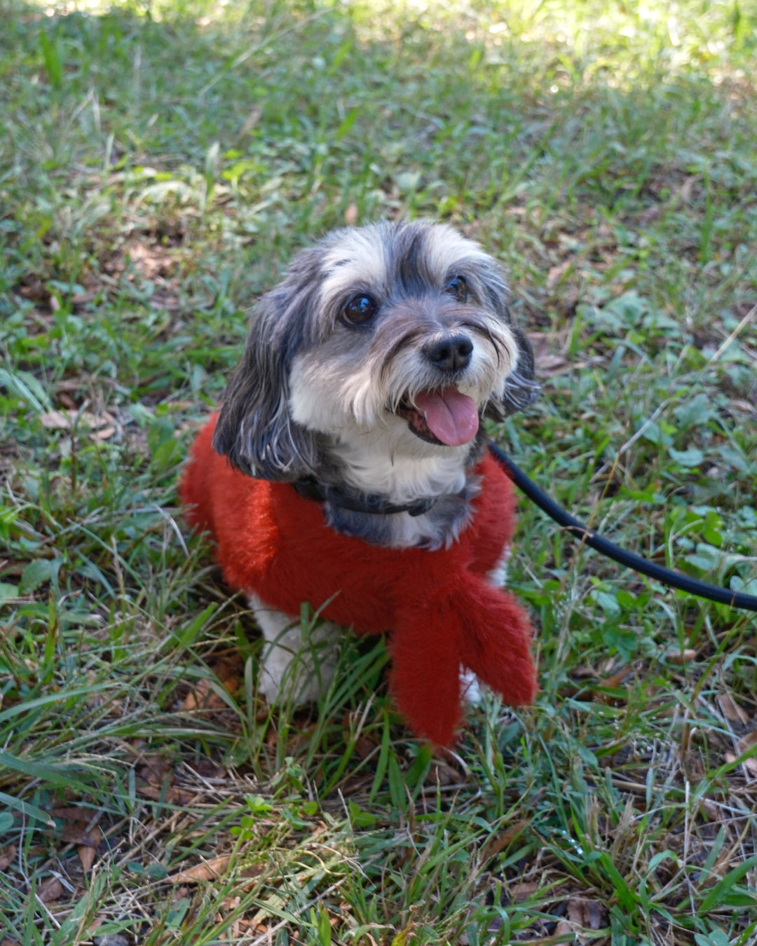 Shaggy Bow Knit