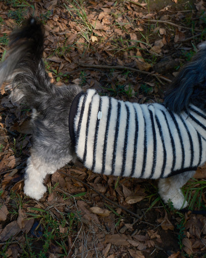 Shaggy Knit (stripe)
