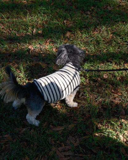 Shaggy Knit (stripe)
