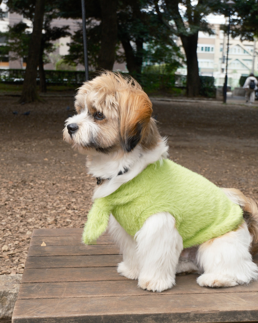 Shaggy Bow Knit