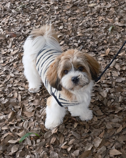 Shaggy Knit (stripe)