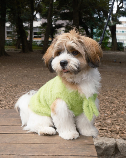 Shaggy Bow Knit