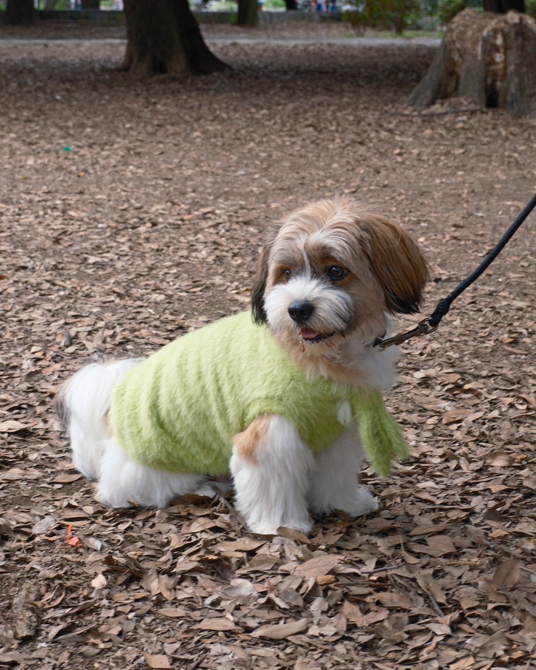 Shaggy Bow Knit