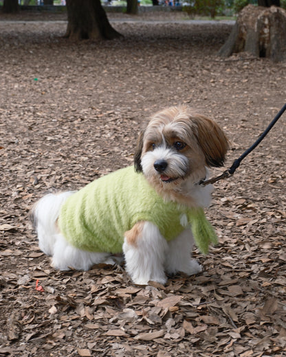 Shaggy Bow Knit