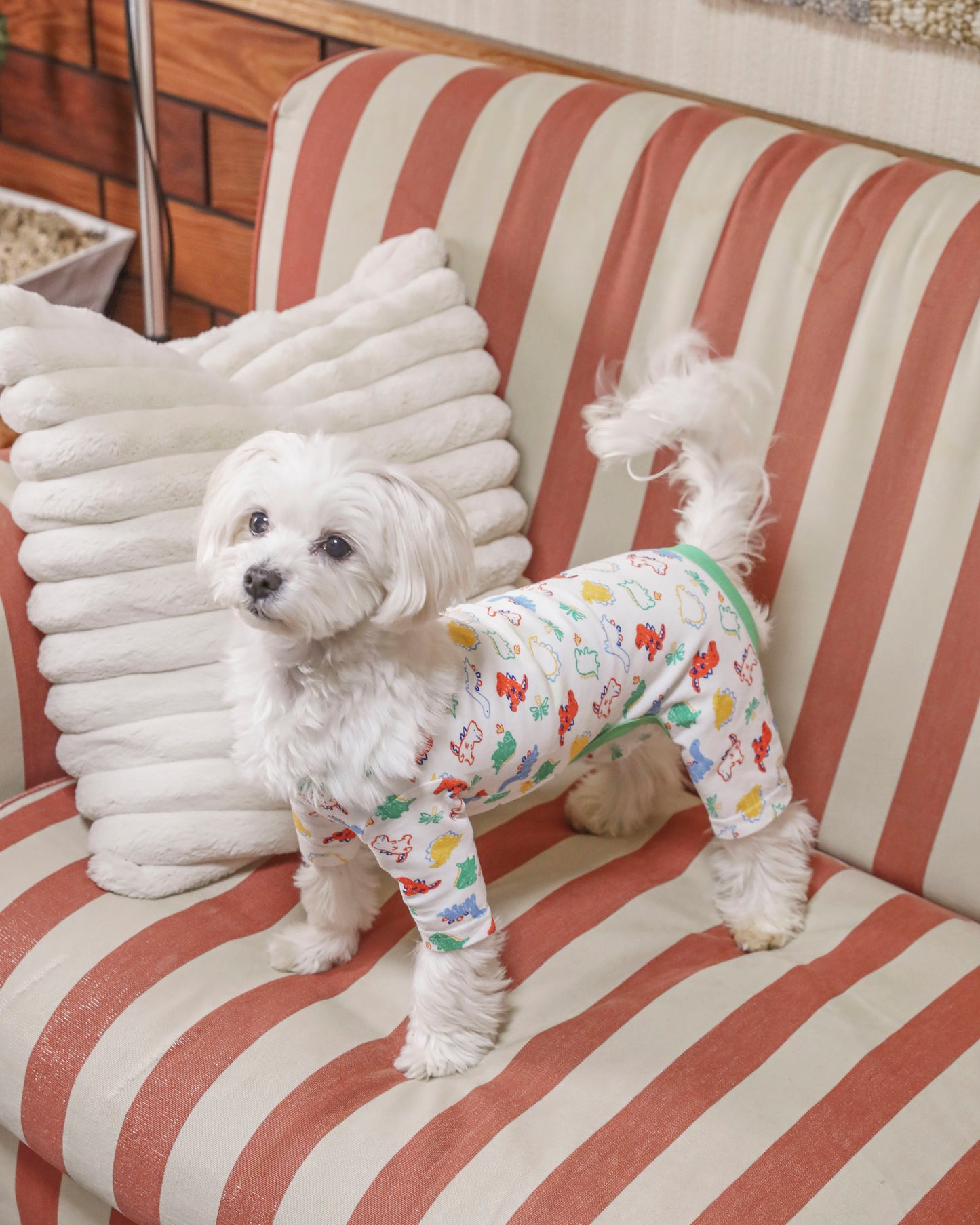 Cotton Rompers (dinosaur)