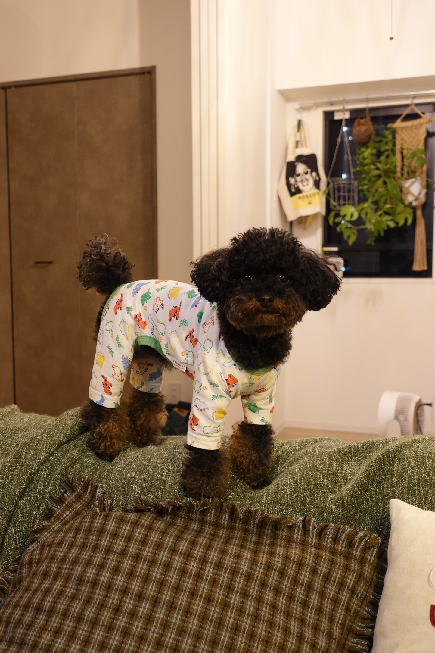 Cotton Rompers (dinosaur)